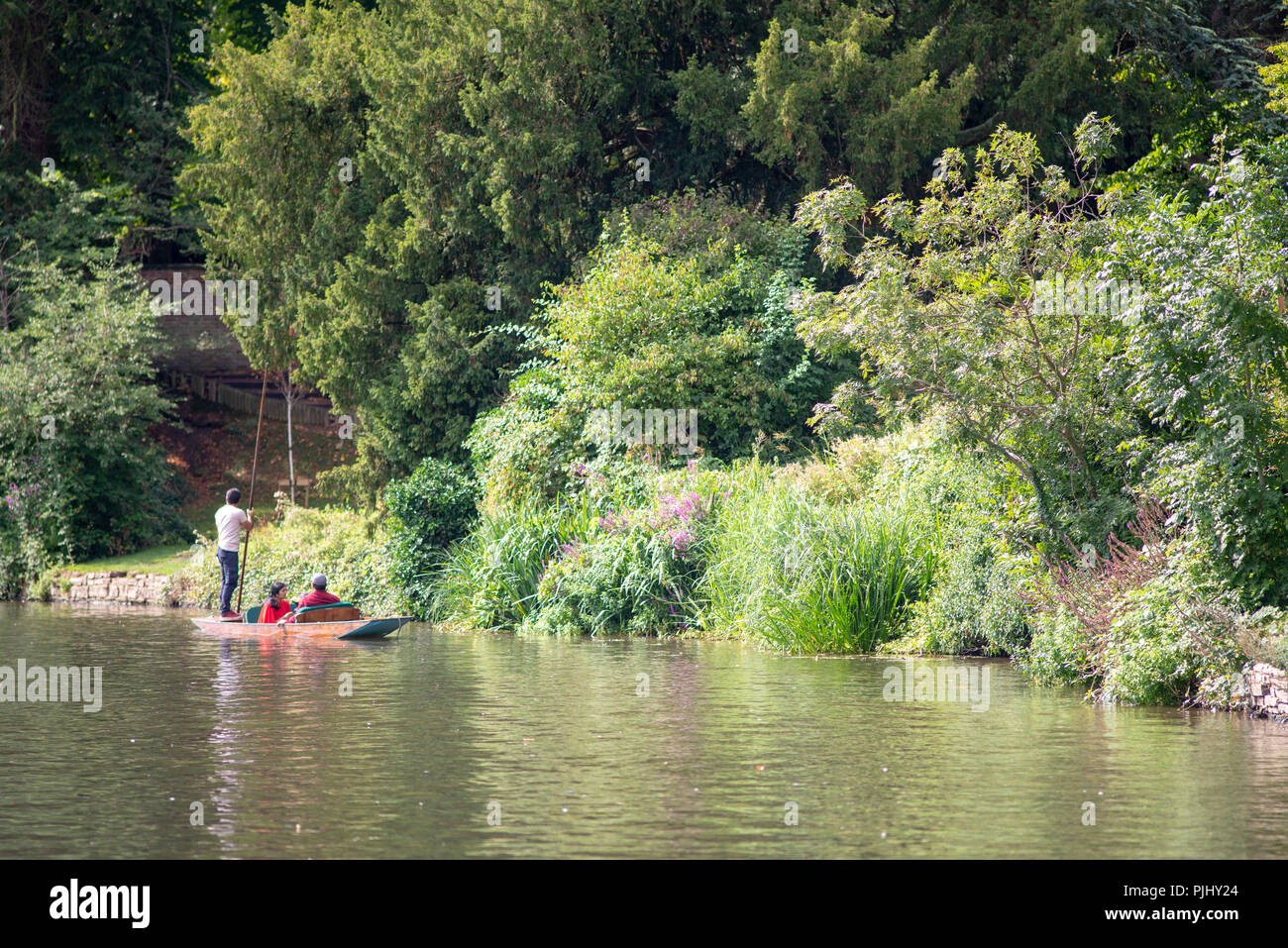 Stratford Upon Avon, Warwickshire, Angleterre Royaume-uni 23 août punt sur la rivière avec beatuiful arbres en arrière-plan dans le milieu de l'été Banque D'Images