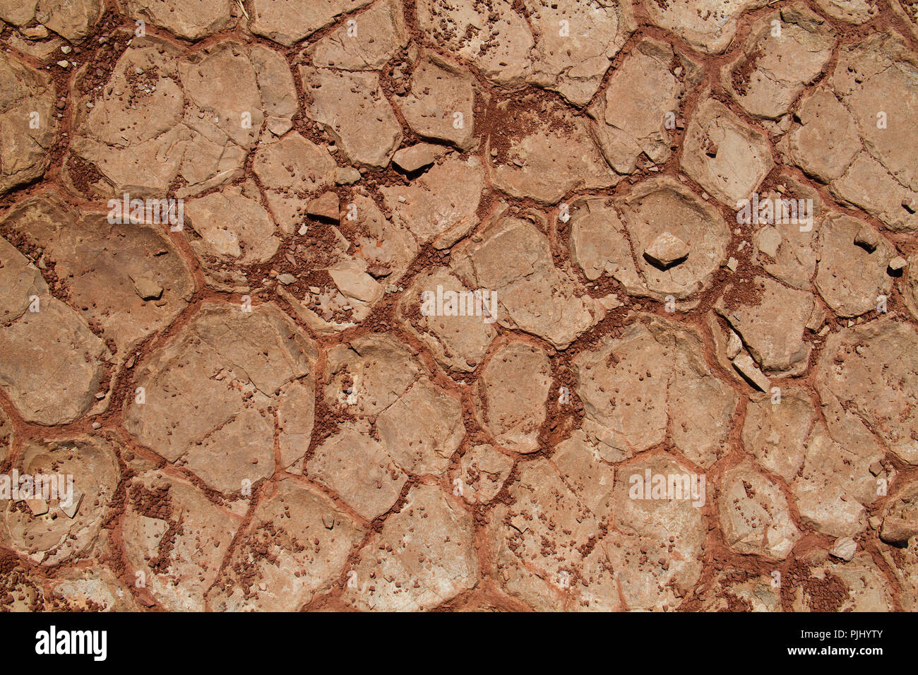 Fissures de boue fossile Banque D'Images