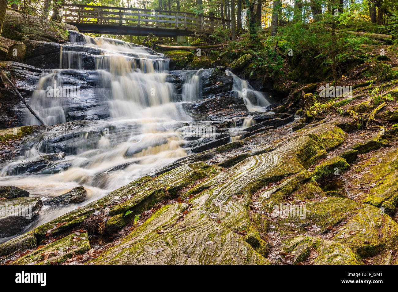 Dans la région de Muskoka à Potts tombe, l'eau coule sous un pont en bois puis tombe sur un gros rocher, face vers le bas, à une section de couverts de mousse Bouclier canadien Banque D'Images