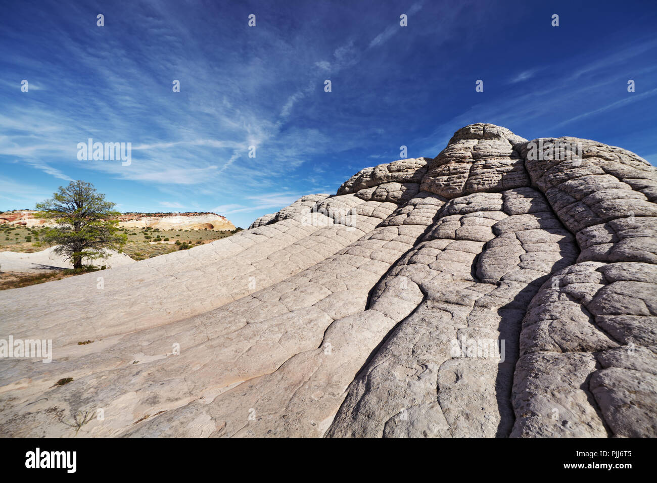 White Pocket rock formations, Vermilion Cliffs National Monument, Arizona, USA Banque D'Images