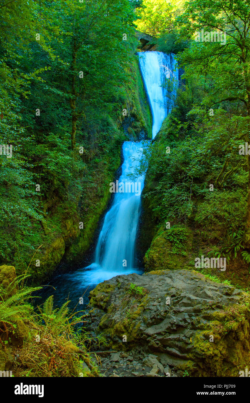 Plantes vertes luxuriantes et les arbres encadrent les eaux en cascade de Bridal Veil Falls dans la gorge du Columbia Banque D'Images