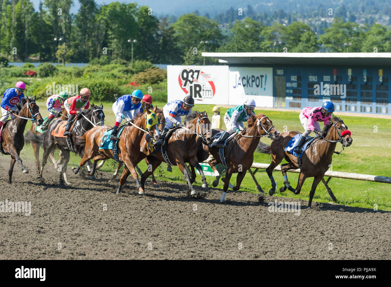 Course de chevaux et jockeys à Hastings Park Racetrack, Vancouver Banque D'Images