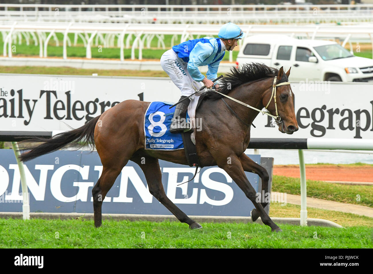 Sydney, Australie. 08 Sep 2018. James McDonald Jockey Tarka manèges à la victoire en course 4, le Daily Telegraph Stan Fox Enjeux, lors de l'exécution de la Journée de la course rose à l'Hippodrome de Rosehill Gardens, Sydney, Australie. Crédit : Rafal Kontrym/Alamy Live News. Banque D'Images