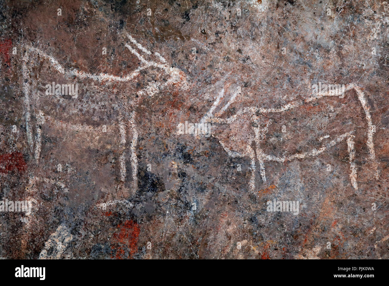 San (Bushmen) peinture rupestre de l'éland antilopes, Northern Cape, Afrique du Sud Banque D'Images