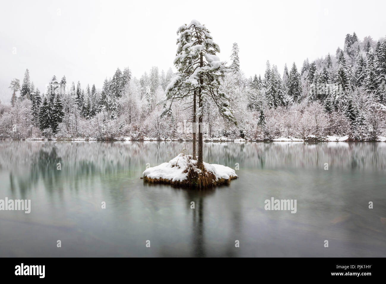 La première neige en novembre couvre Lake près de Cresta Trin avec une robe d'hiver, dans le canton de Grisons, Suisse Banque D'Images