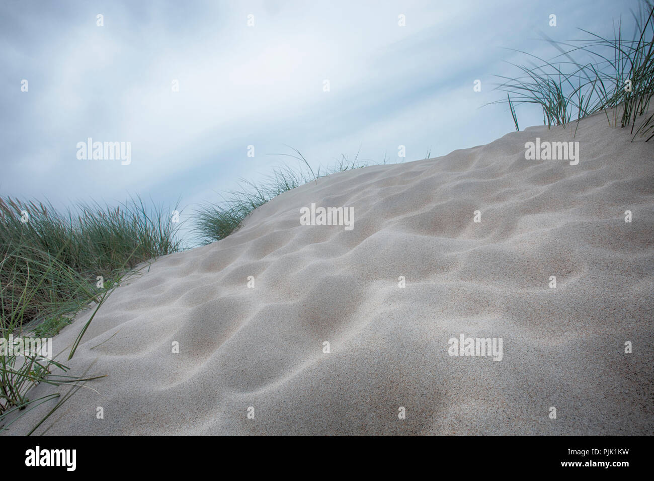 Paysage de dunes sur Amrum Banque D'Images