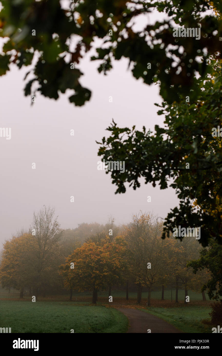 Une randonnée autour de l'Obersee à Bielefeld (Schildesche) sur un jour gris et brumeux en octobre, Banque D'Images