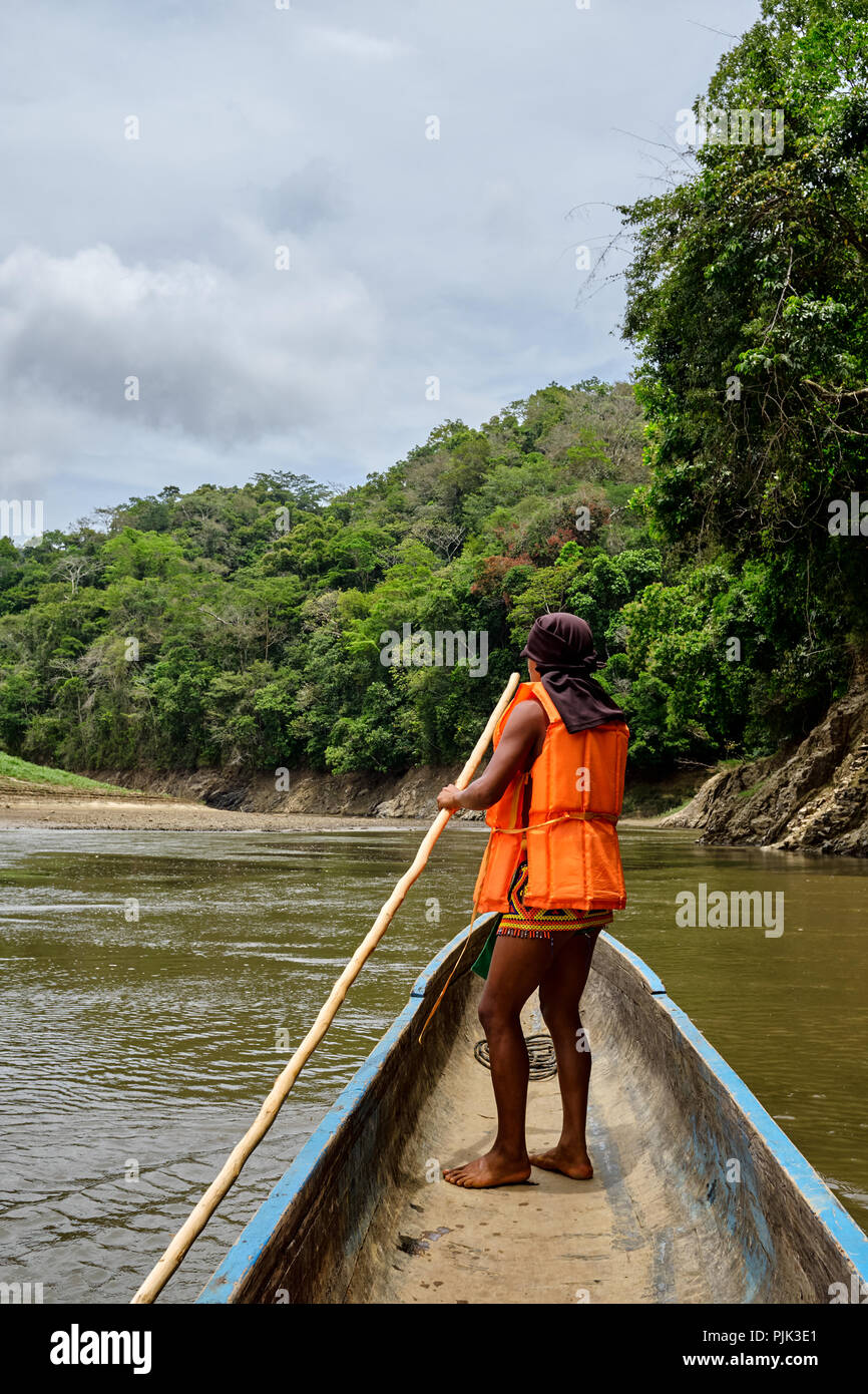 Le parc national de Chagres, Panama - 22 Avril 2018 : Les Autochtones Embera homme volant une pirogue le long de la rivière Banque D'Images