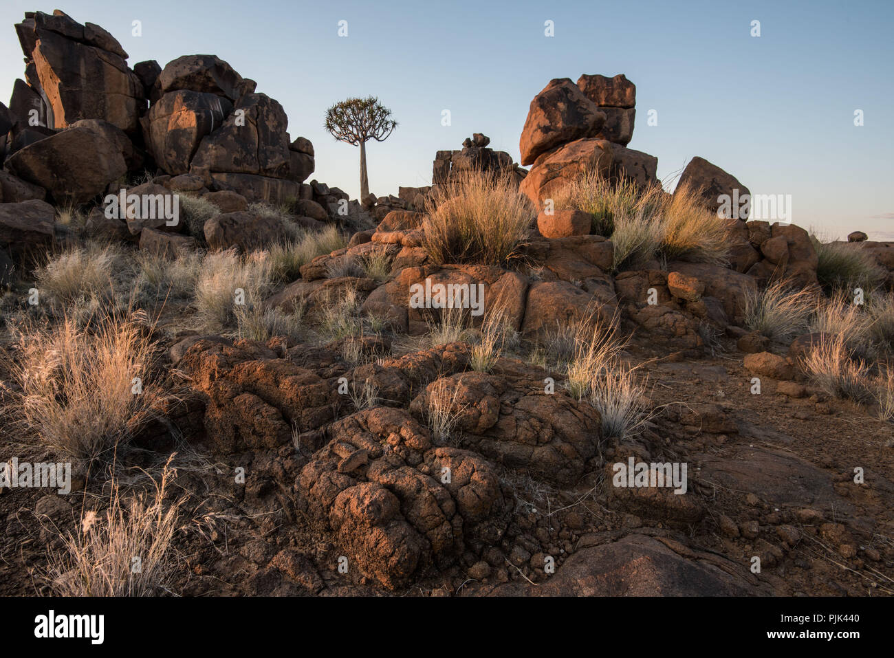 Dans le carquois Quiver Tree tree forest / 'aire de jeu géant' près de Keetmanshoop, la Namibie du Sud Banque D'Images