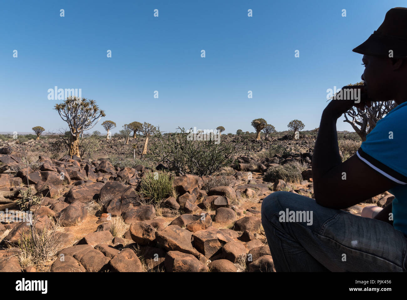 Séance guide dans l'ombre et à la recherche dans la distance sur le Quiver Tree Forest près de Keetmanshoop, Namibie Banque D'Images
