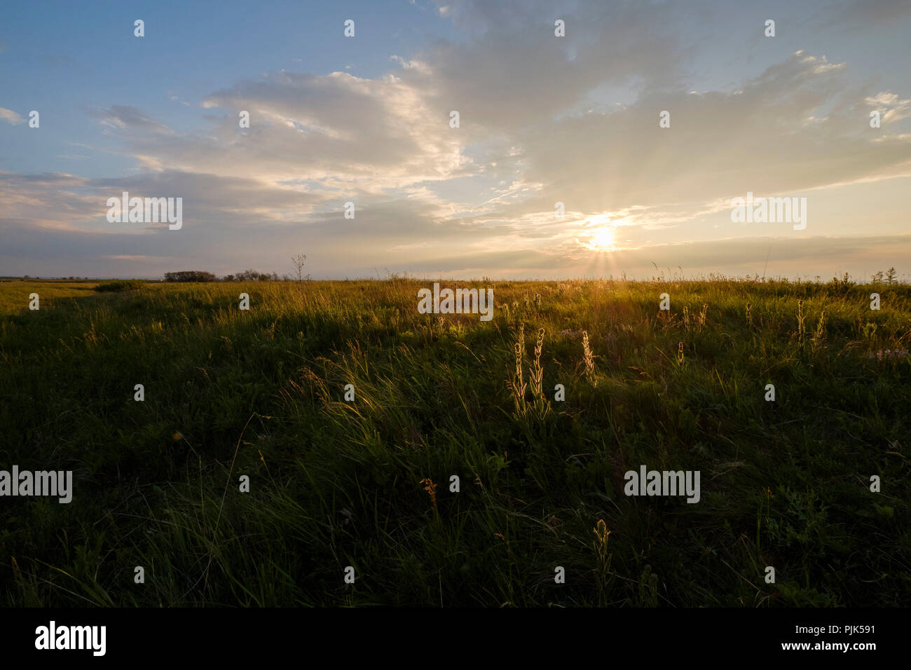 Coucher de soleil sur le Darscho Lacke appelé aussi Warmsee à Apleton dans le parc national du lac de Neusiedl, Burgenland, Autriche Banque D'Images