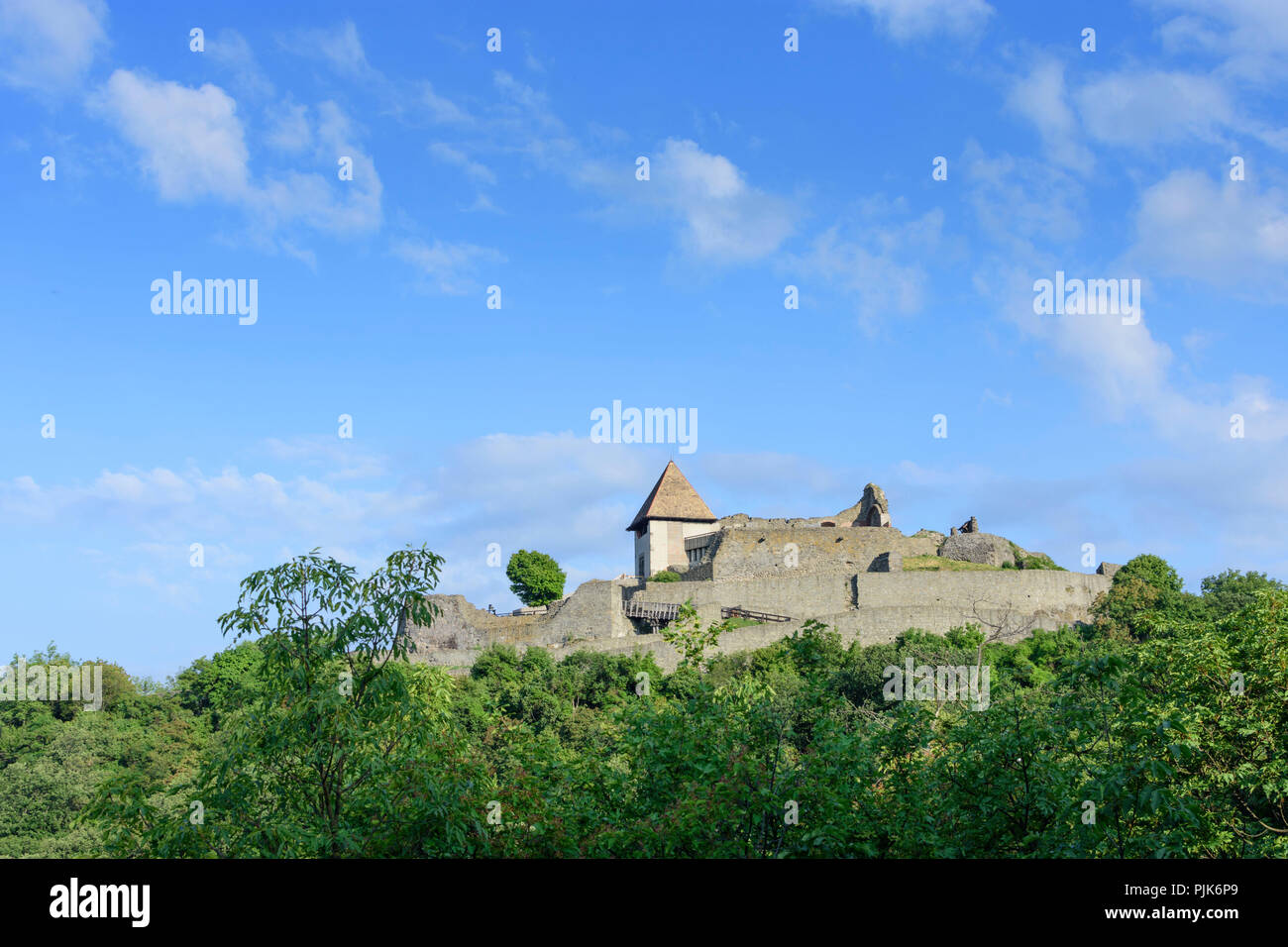 Visegrad (Plintenburg), Château supérieur en Hongrie, Pest, Courbe du Danube (Dunakanyar) Banque D'Images