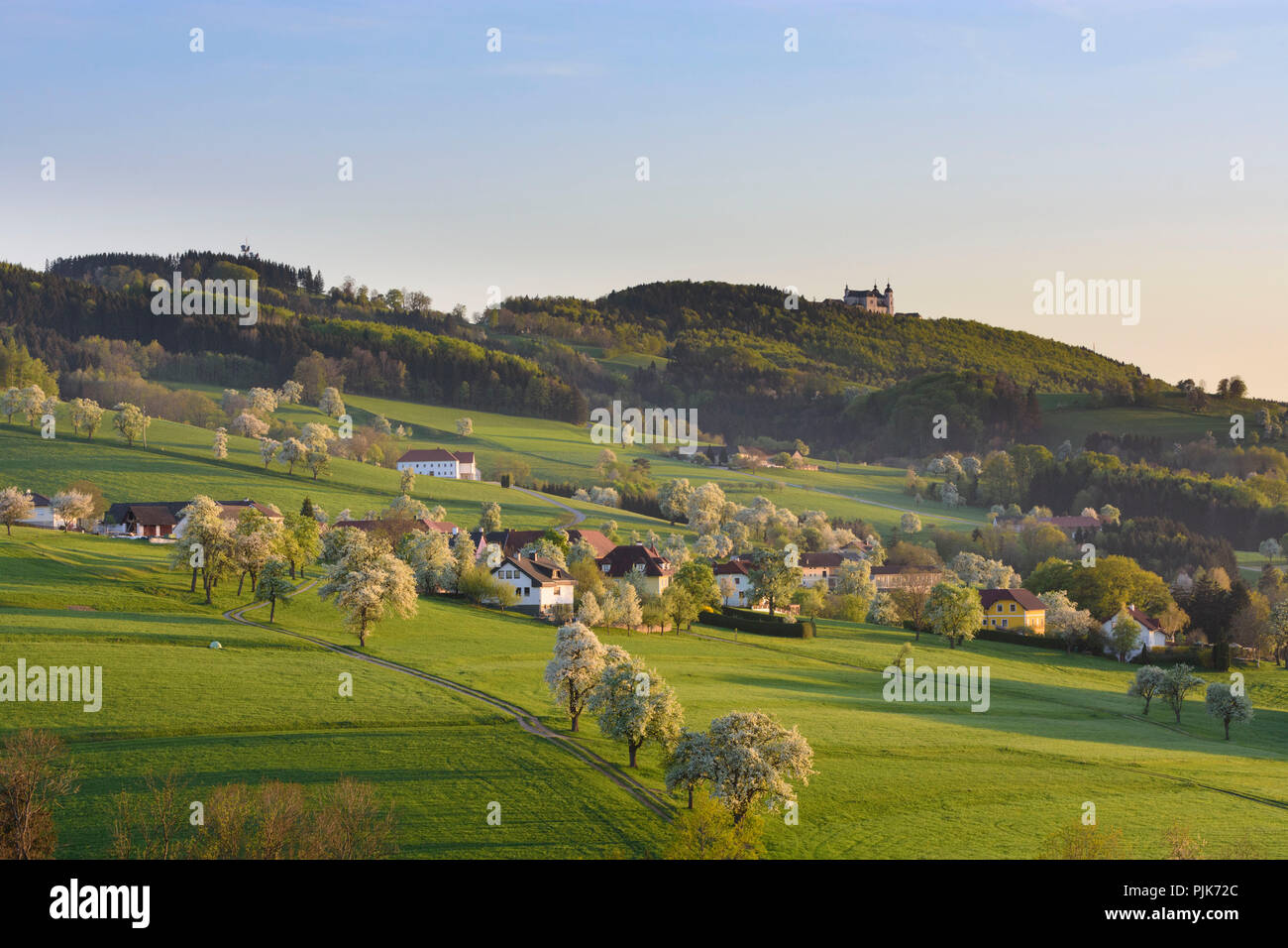 Sonntagberg, vue à partir de la basilique à Allhartsberg Sonntagberg, poiriers, hill, pré, maisons de ferme, en Autriche Basse-Autriche (Niederösterreich), région de Mostviertel Banque D'Images