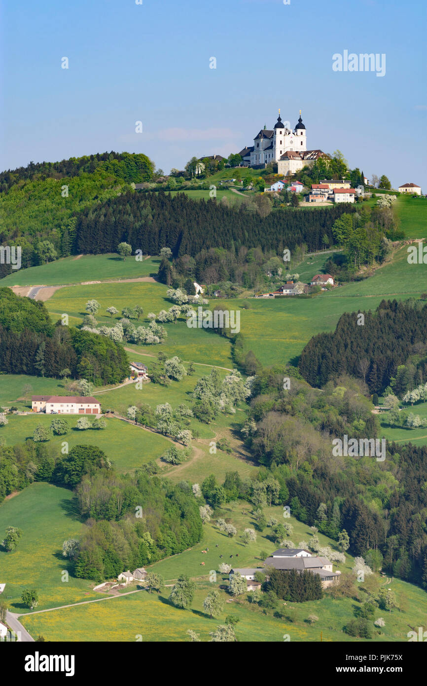 Sonntagberg Sonntagberg, basilique, les poiriers en fleurs, hill, pré, maisons de ferme, en Autriche Basse-Autriche (Niederösterreich), région de Mostviertel Banque D'Images