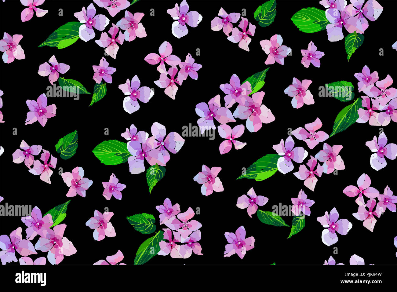 Rose fleurs Hortensia jardin modèle homogène. Illustration botanique dans un style dessiné à la main. Fleurs lilas isolés. Vector floral design pour les cosmétiques Banque D'Images