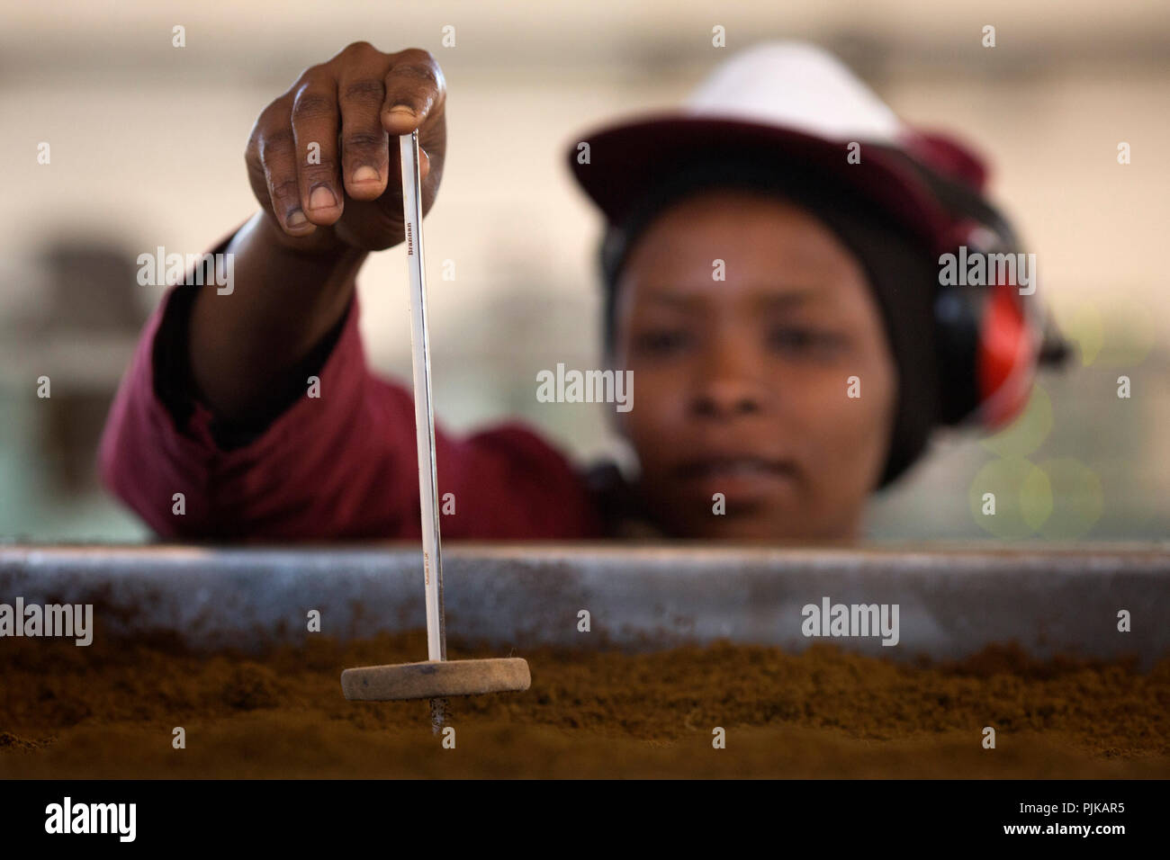 Maramba tea factory, Limuru, Kenya, février 2015. Banque D'Images