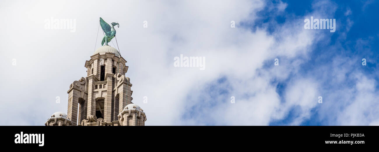 Royal Liver Building streetview à Liverpool Banque D'Images