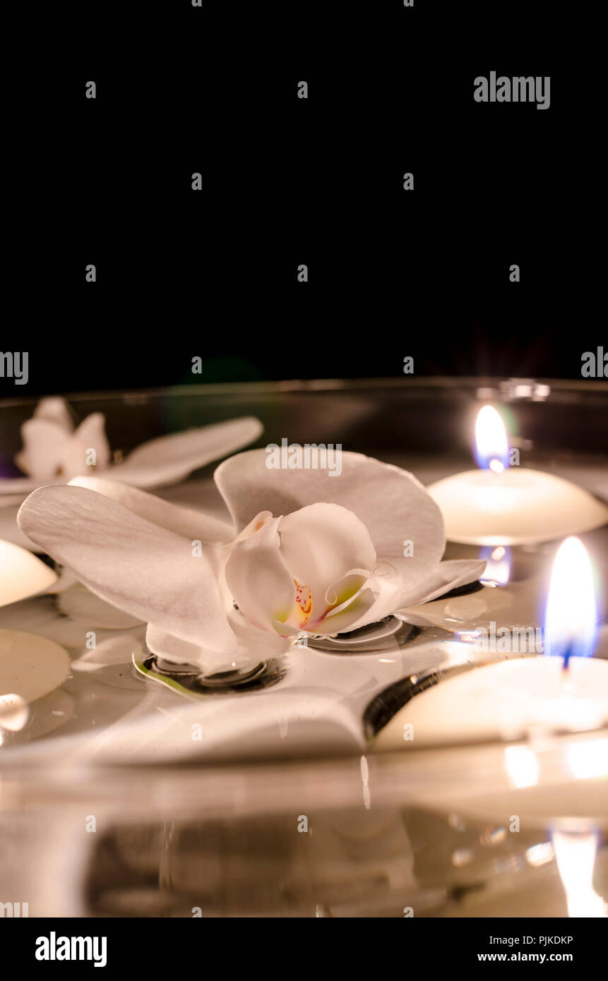 Orchidée fleur blanc avec des bougies flottant sur l'eau. Fond noir. Banque D'Images