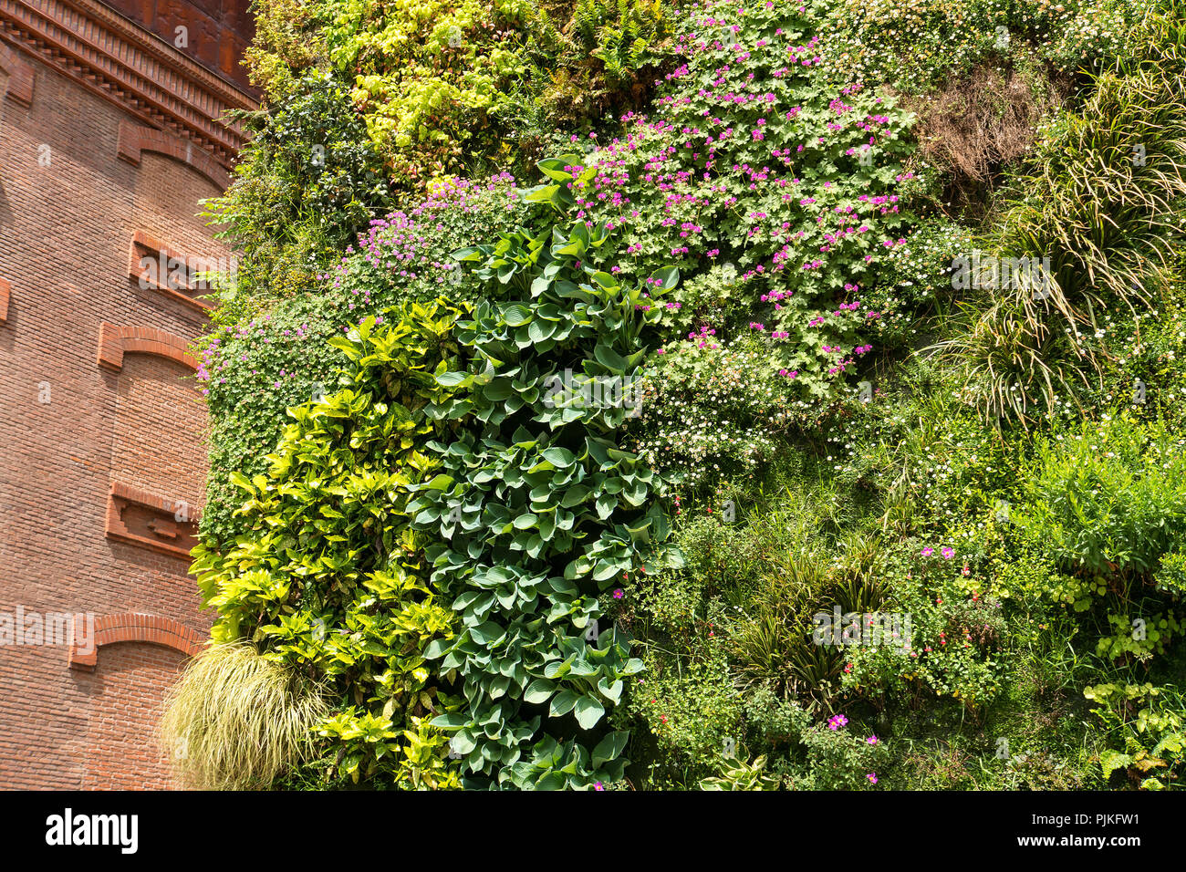 Madrid, Caixa Forum, centre culturel, jardin vertical Banque D'Images