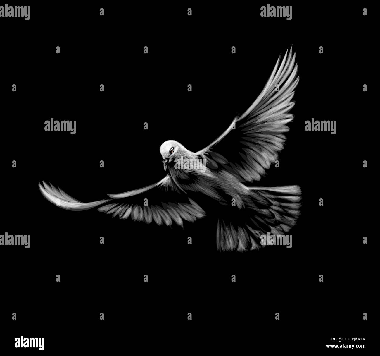 Flying colombe blanche sur fond noir. Illustration de Vecteur