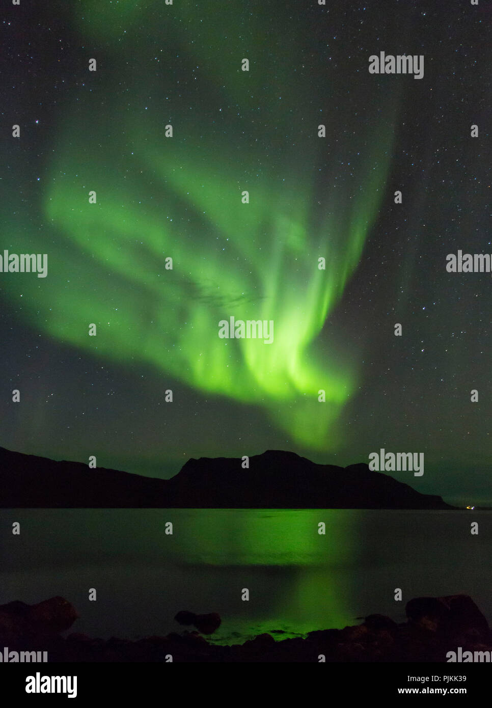 L'Islande, Aurora, l'humeur, ardent, mer, étoiles, Djupavik, Westfjords Banque D'Images