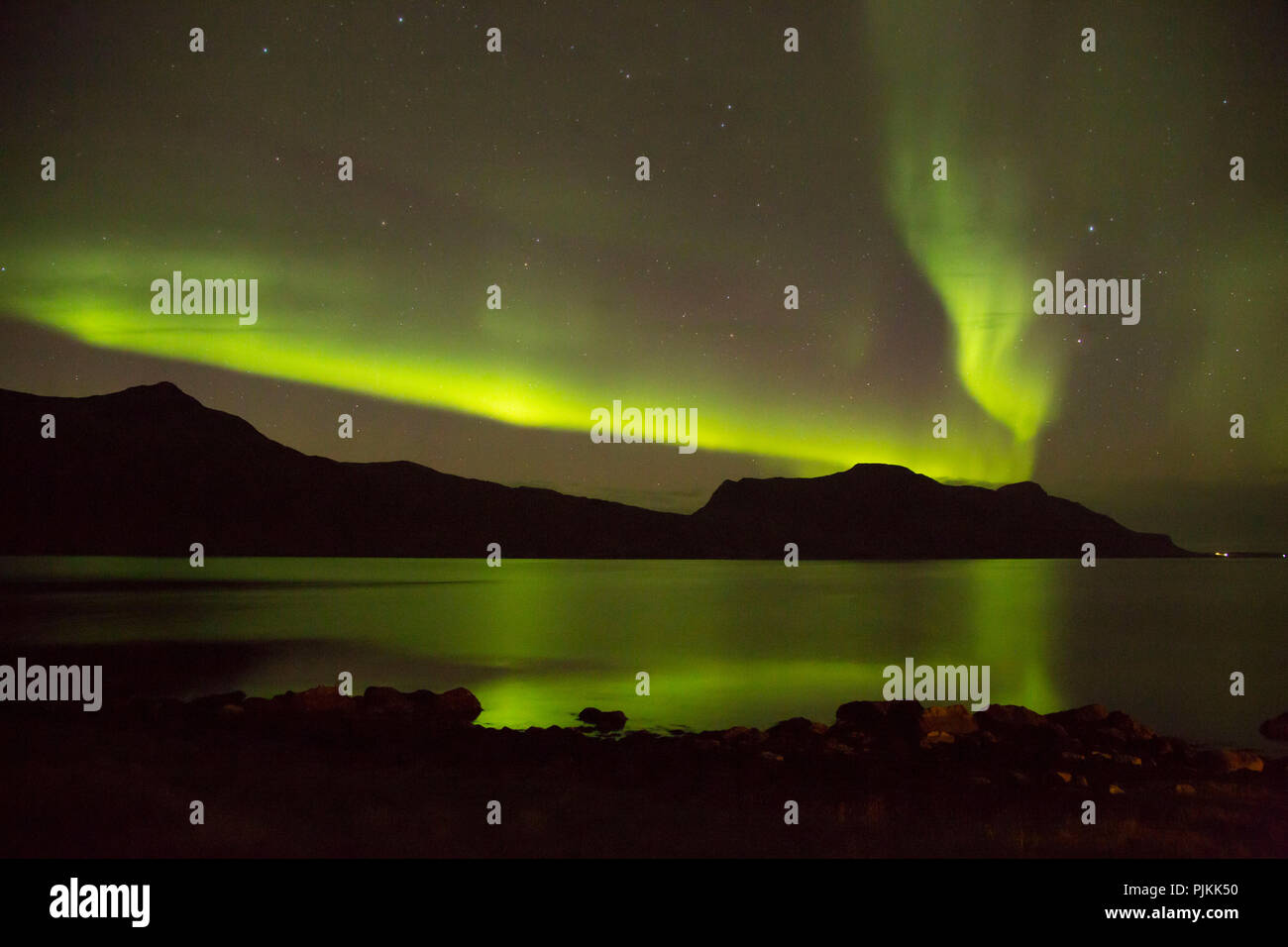 L'Islande, Aurora, l'Islande, de l'humeur, brillant, mer, étoiles, Djupavik, Westfjords Banque D'Images