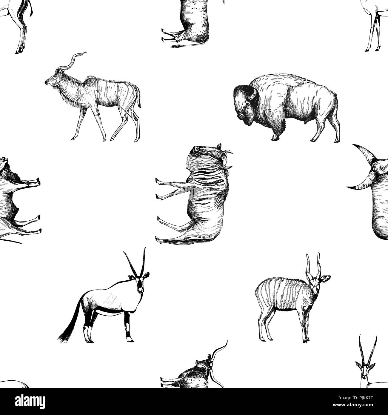 Profil de transparente esquisse dessinée à la main les ongulés style isolé sur fond blanc. Vector illustration. Illustration de Vecteur