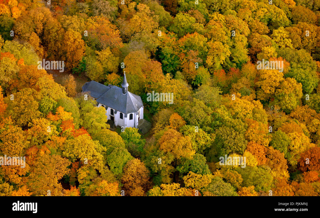 Chapelle Saint-antoine, église, religion, forêt d'automne, Menden, Maerkischer Kreis, Nordrhein-Westfalen, Germany, Europe Banque D'Images