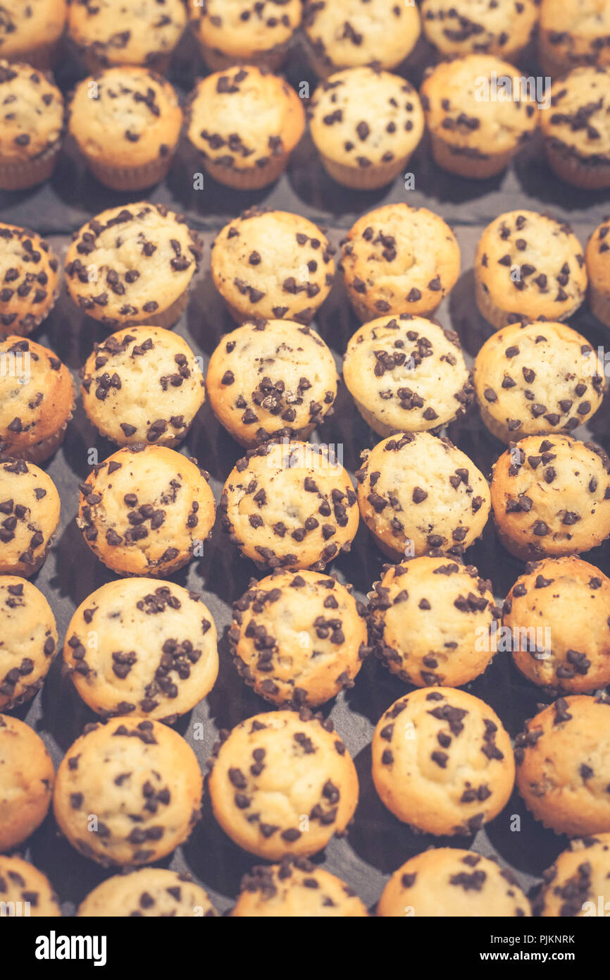 Petits muffins avec morceaux de chocolat prêt à manger Banque D'Images