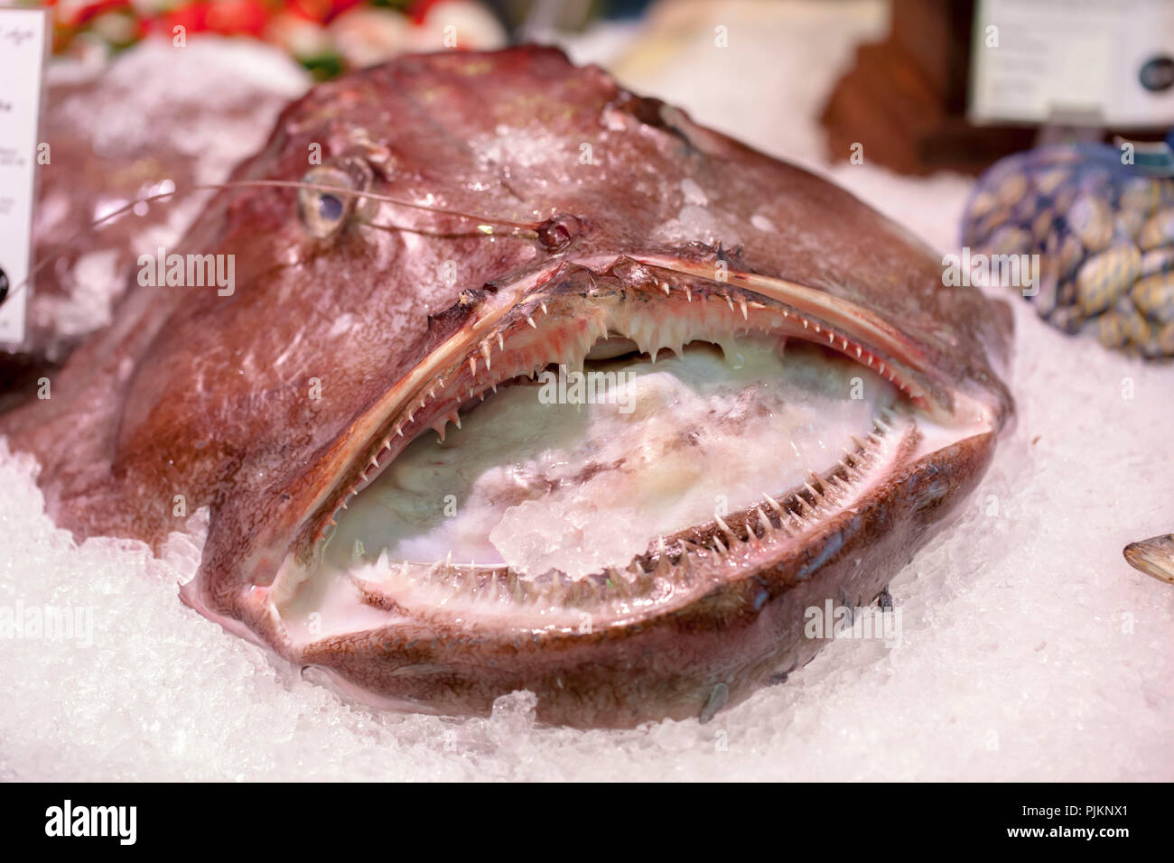 La Lotte Banque D Image Et Photos Alamy