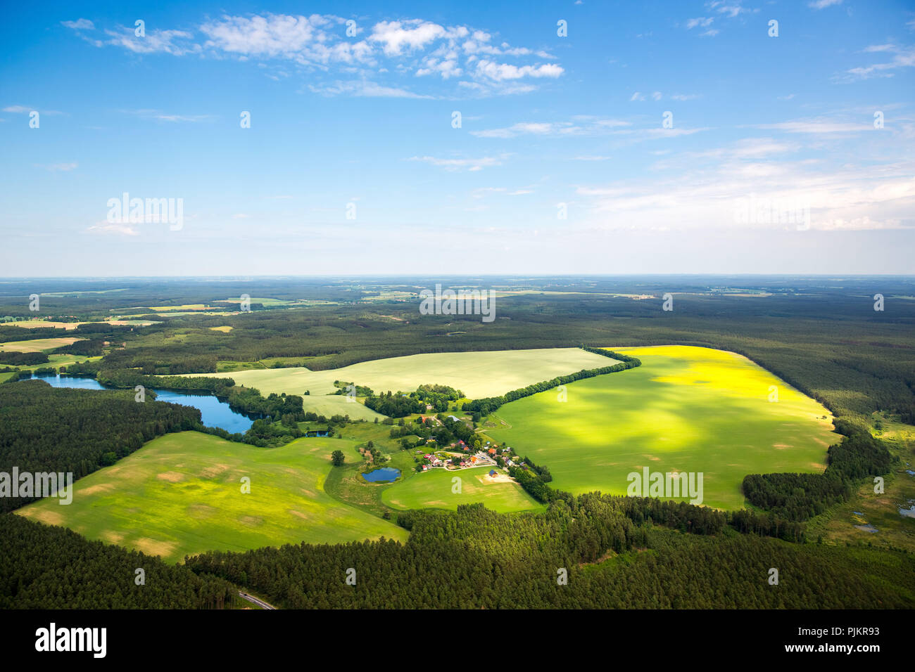 Gmina Czarna Dabrowka, champs de maïs, des forêts, des zones forestières, occidentale, côte de la mer Baltique, Pomorskie, Pologne Banque D'Images