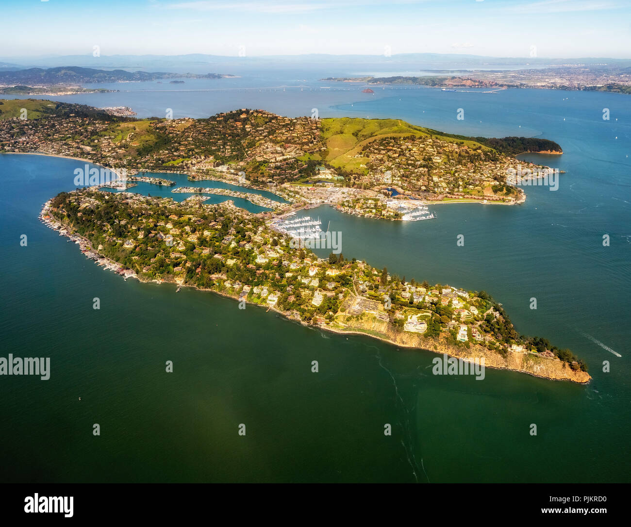 Belvedere Tiburon Péninsule, Baie de San Francisco, United States, California, United States Banque D'Images