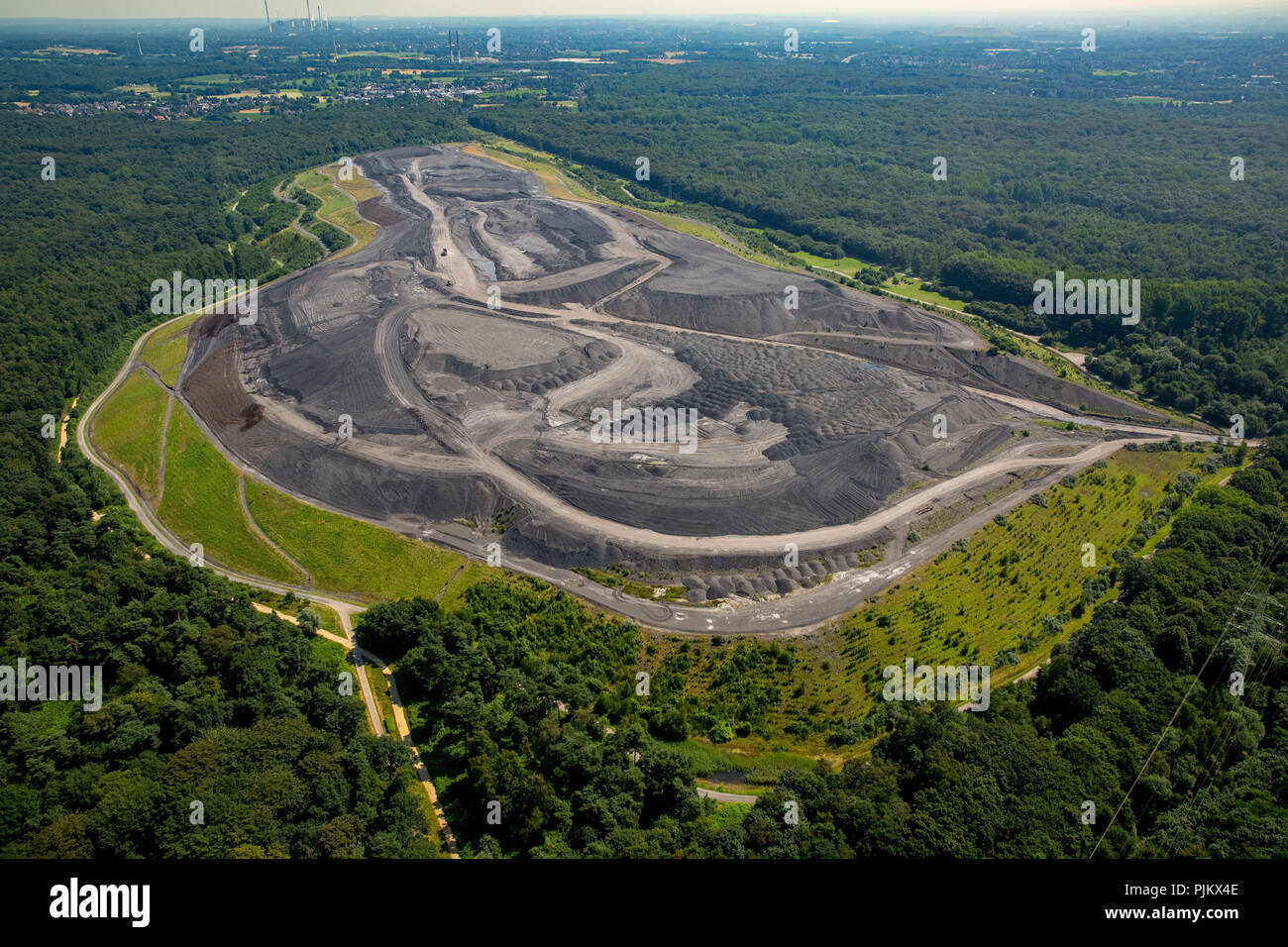 La halde est un Schöttelheide vidage des déchets miniers dans le district de Bottrop, Bergehalde Fernewald Grafenwald, Halde Fernewaldstraße, Bottrop, Ruhr, Rhénanie du Nord-Westphalie, Allemagne Banque D'Images