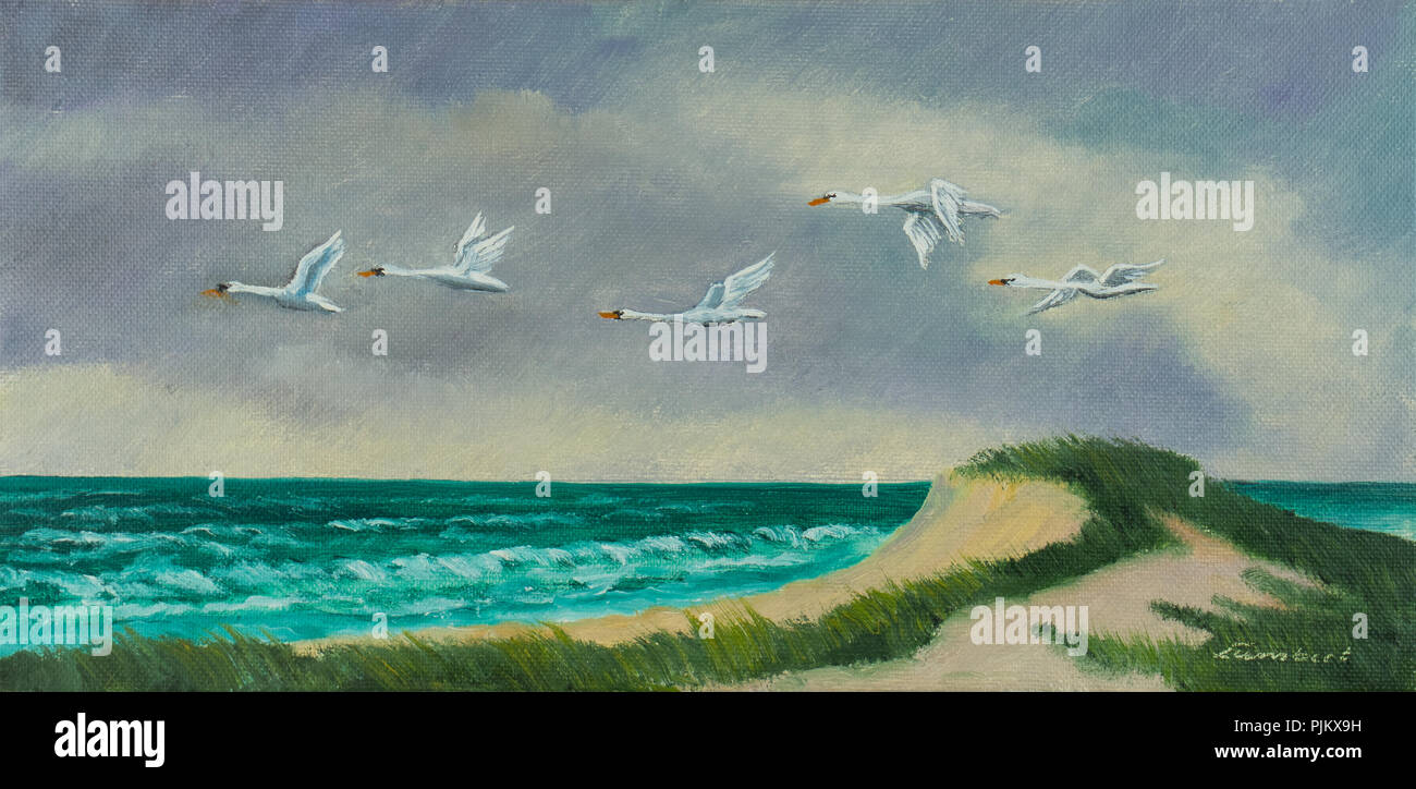 Peinture à l'huile - quatre oiseaux migrateurs blanc avec un bec jaune voler sur la côte sur la mer Banque D'Images