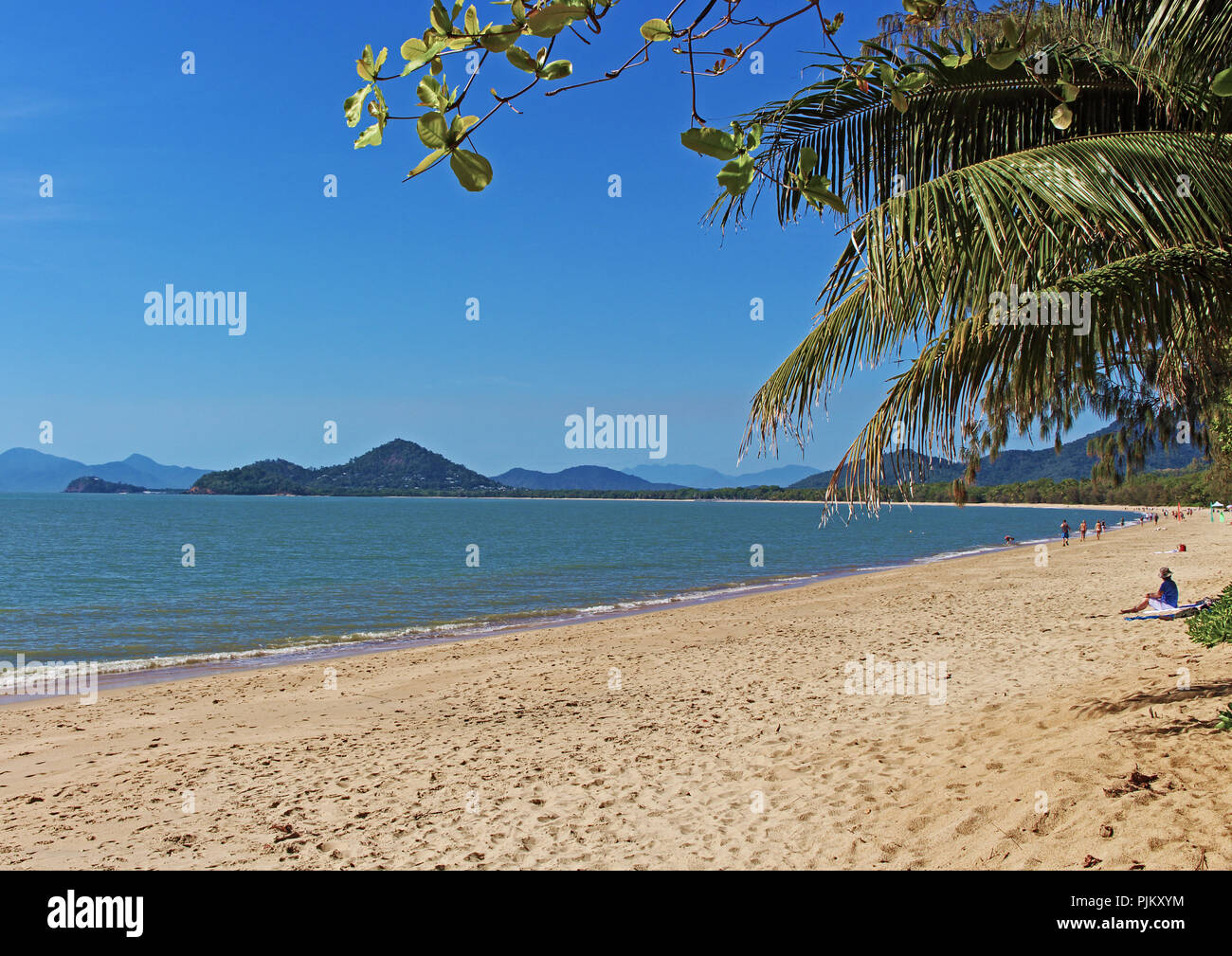 Aspect du sud vers Selm de Palm Cove qui est une belle plage du nord banlieue de Cairns à far north Queensland Australie tropicale Banque D'Images