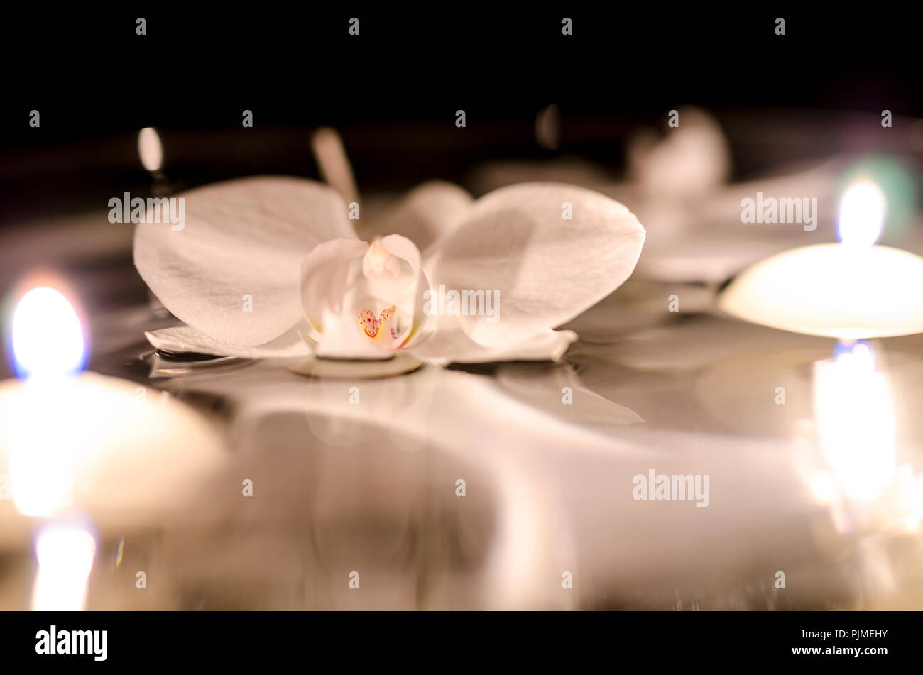 Orchidée fleur et des bougies flottant sur l'eau. Banque D'Images