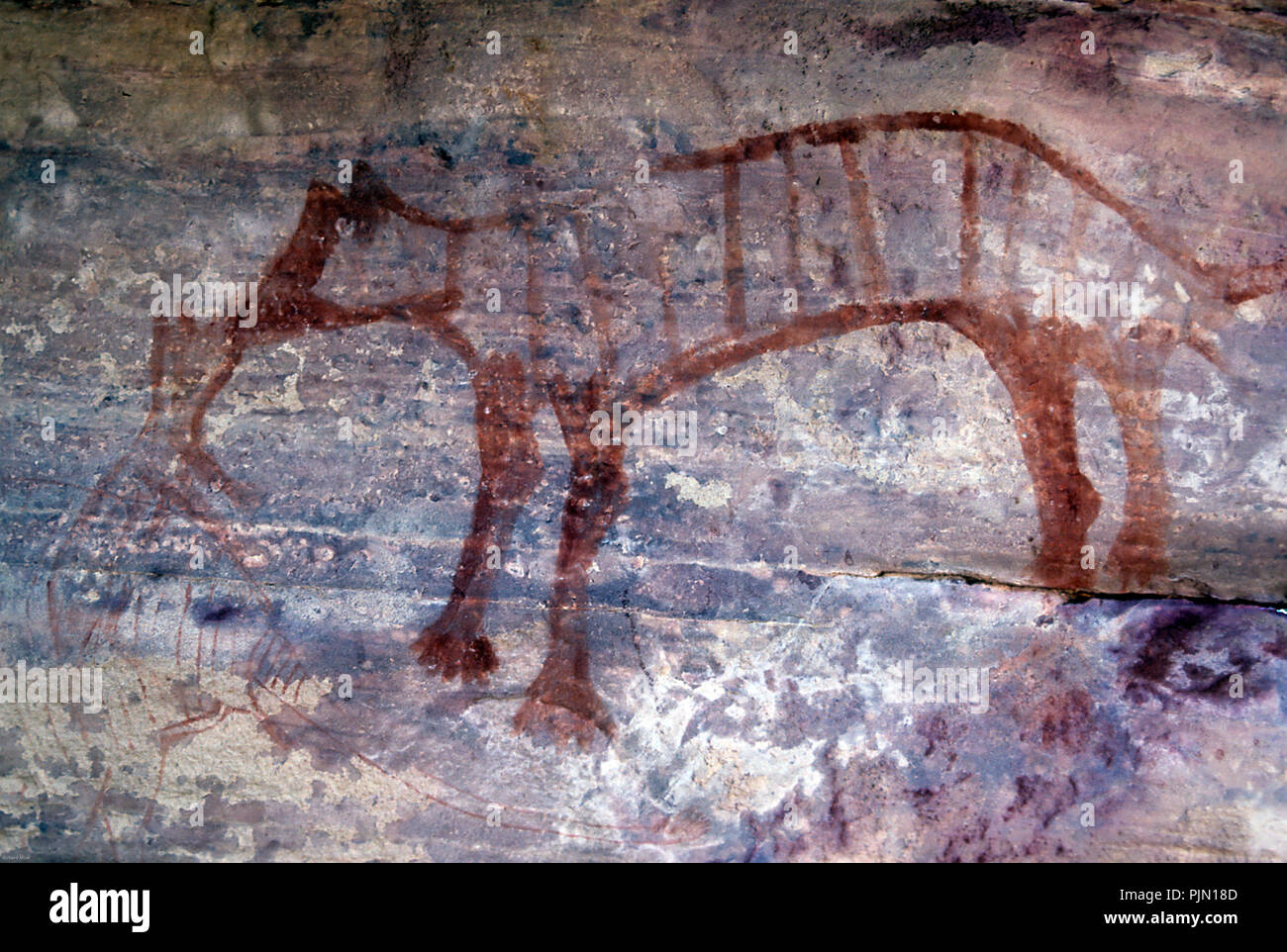 Art rupestre aborigène représentant un tigre de Tasmanie Banque D'Images