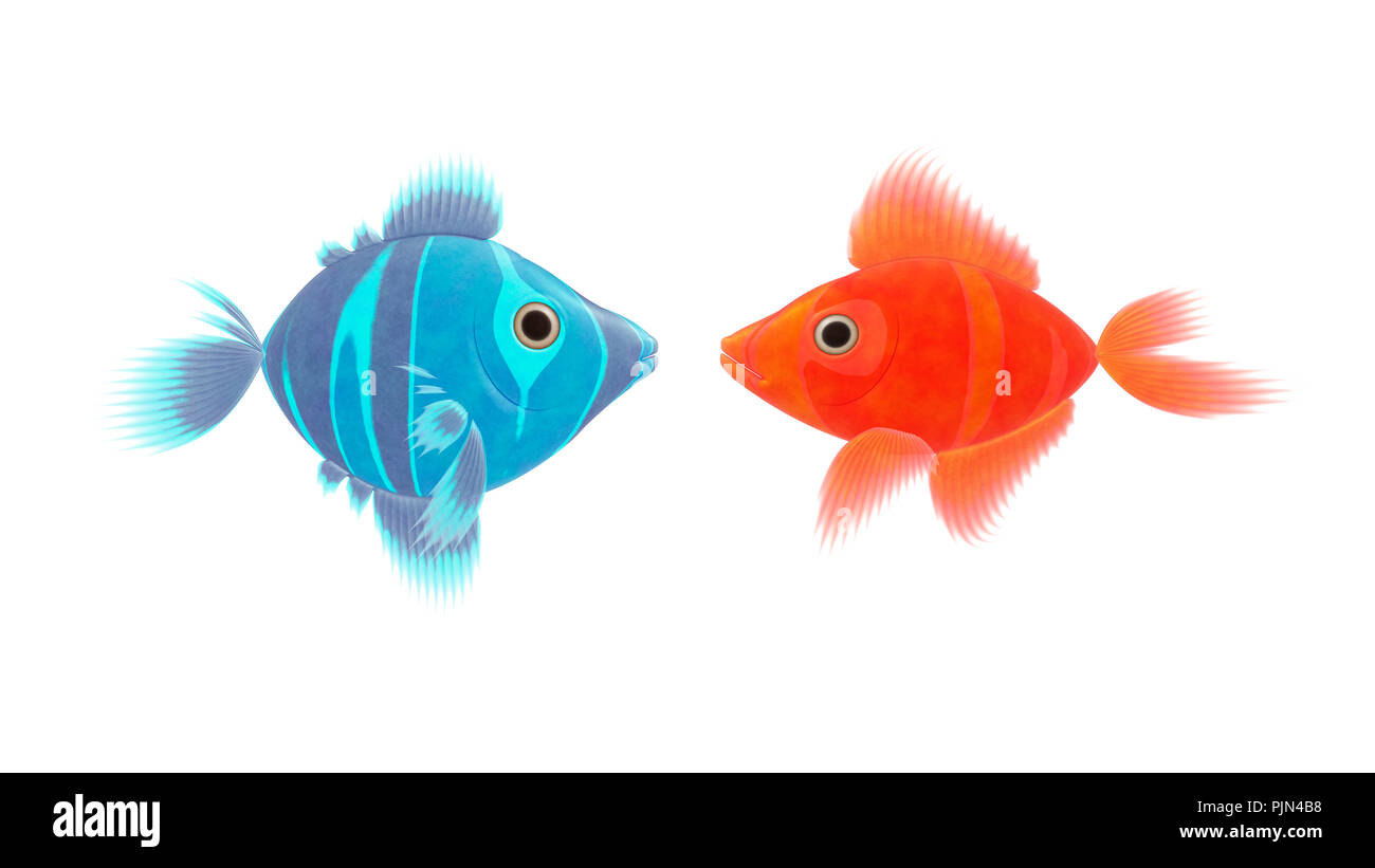 Un bleu et un poisson rouge devant un fond blanc, Ein neues und ein roter Fisch vor weissem Hintergrund Banque D'Images