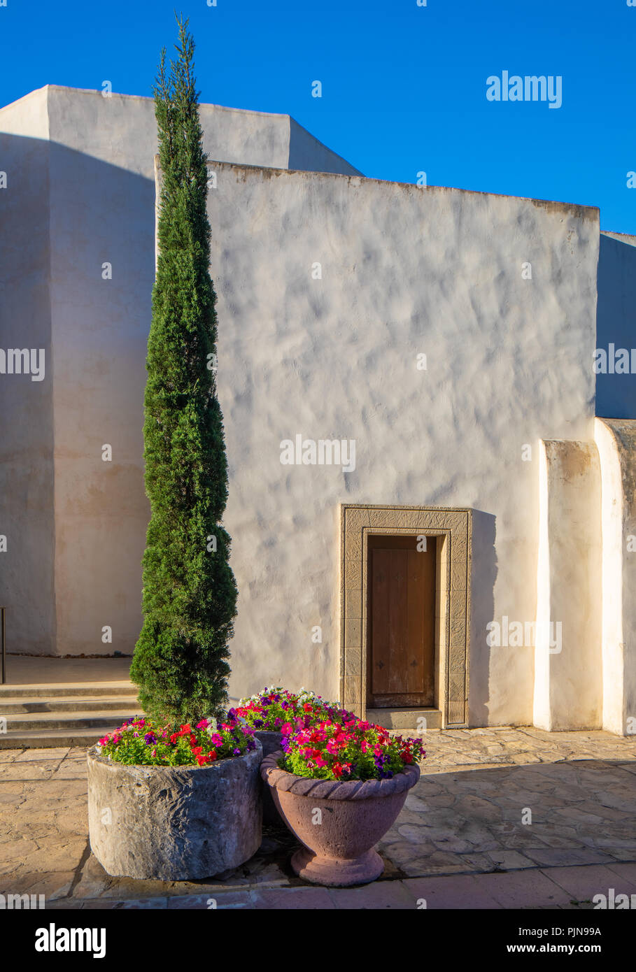 La Cathédrale de San Fernando (Espagnol : Catedral de San Fernando) à San Antonio, Texas. Banque D'Images