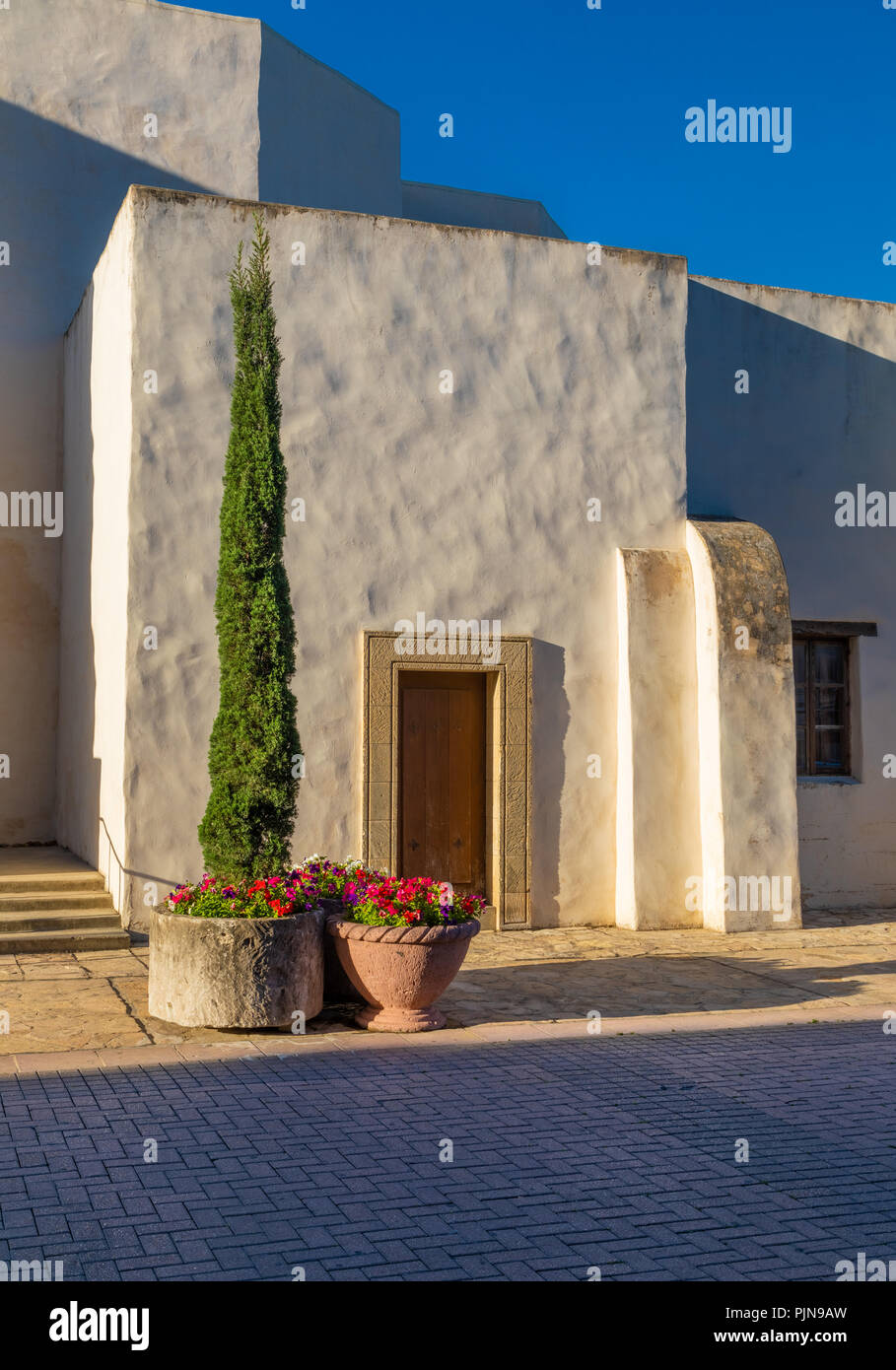 La Cathédrale de San Fernando (Espagnol : Catedral de San Fernando) à San Antonio, Texas. Banque D'Images