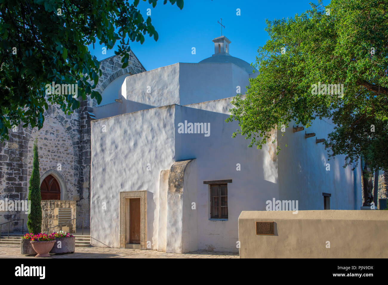 La Cathédrale de San Fernando (Espagnol : Catedral de San Fernando) à San Antonio, Texas. Banque D'Images