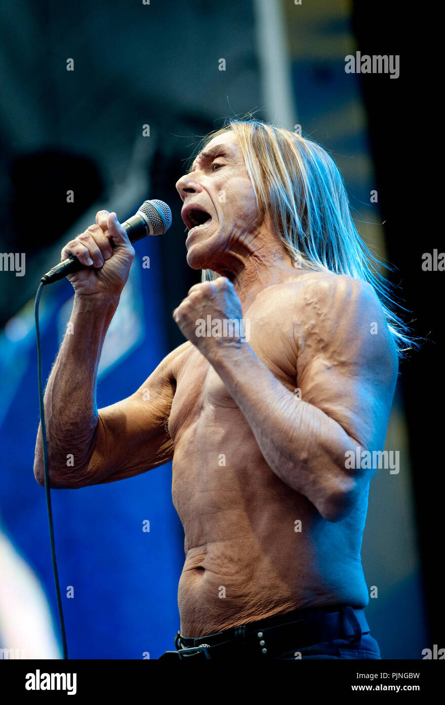 Groupe punk américain Iggy Pop & The Stooges en concert à la deuxième journée de la Suikerrock festival à Tienen (Belgique, 29/07/2011) Banque D'Images