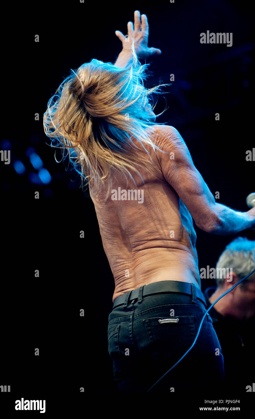 Groupe punk américain Iggy Pop & The Stooges en concert à la deuxième journée de la Suikerrock festival à Tienen (Belgique, 29/07/2011) Banque D'Images