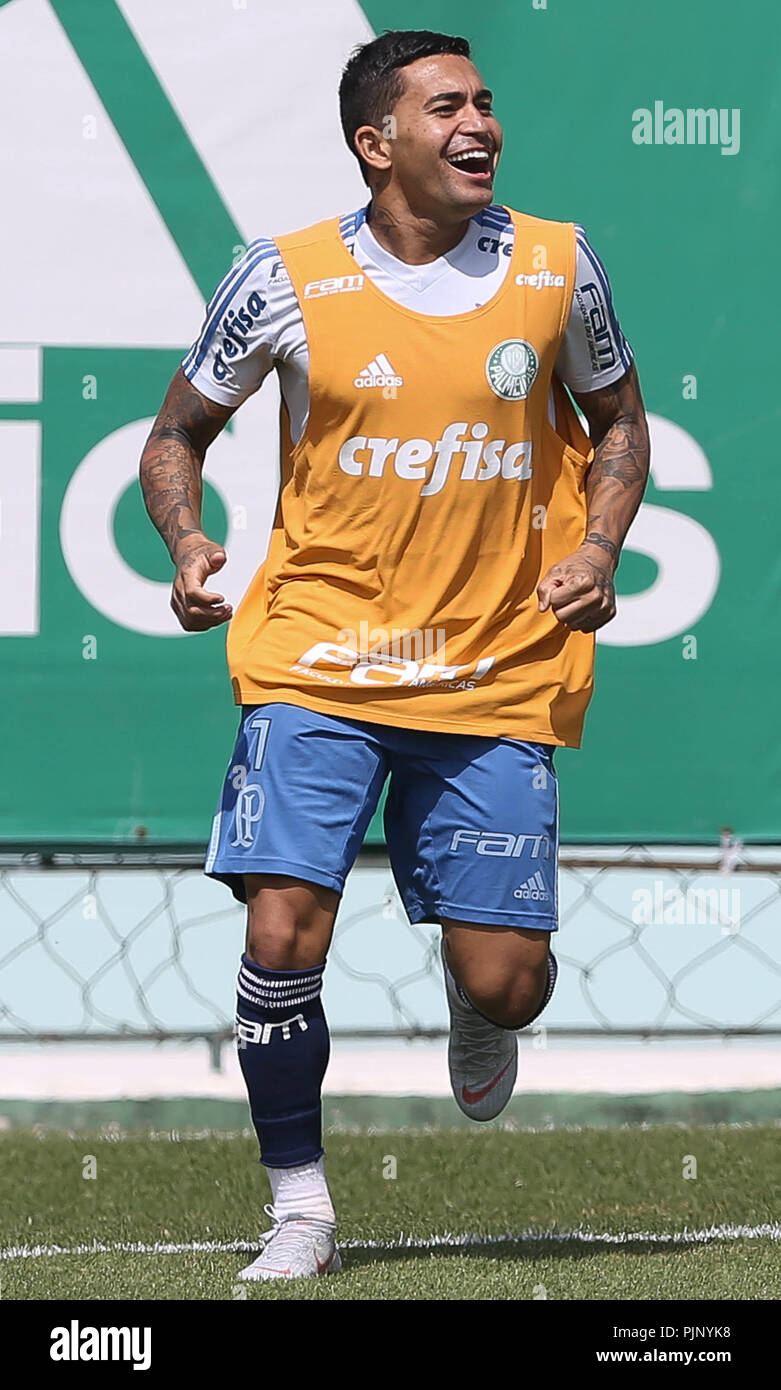 SÃO PAULO, SP - 08.09.2018 : TREINO N PALMEIRAS - Le joueur Dudu, de se Palmeiras, au cours de la formation, à l'Académie de football. (Photo : Cesar Greco/Fotoarena) Banque D'Images