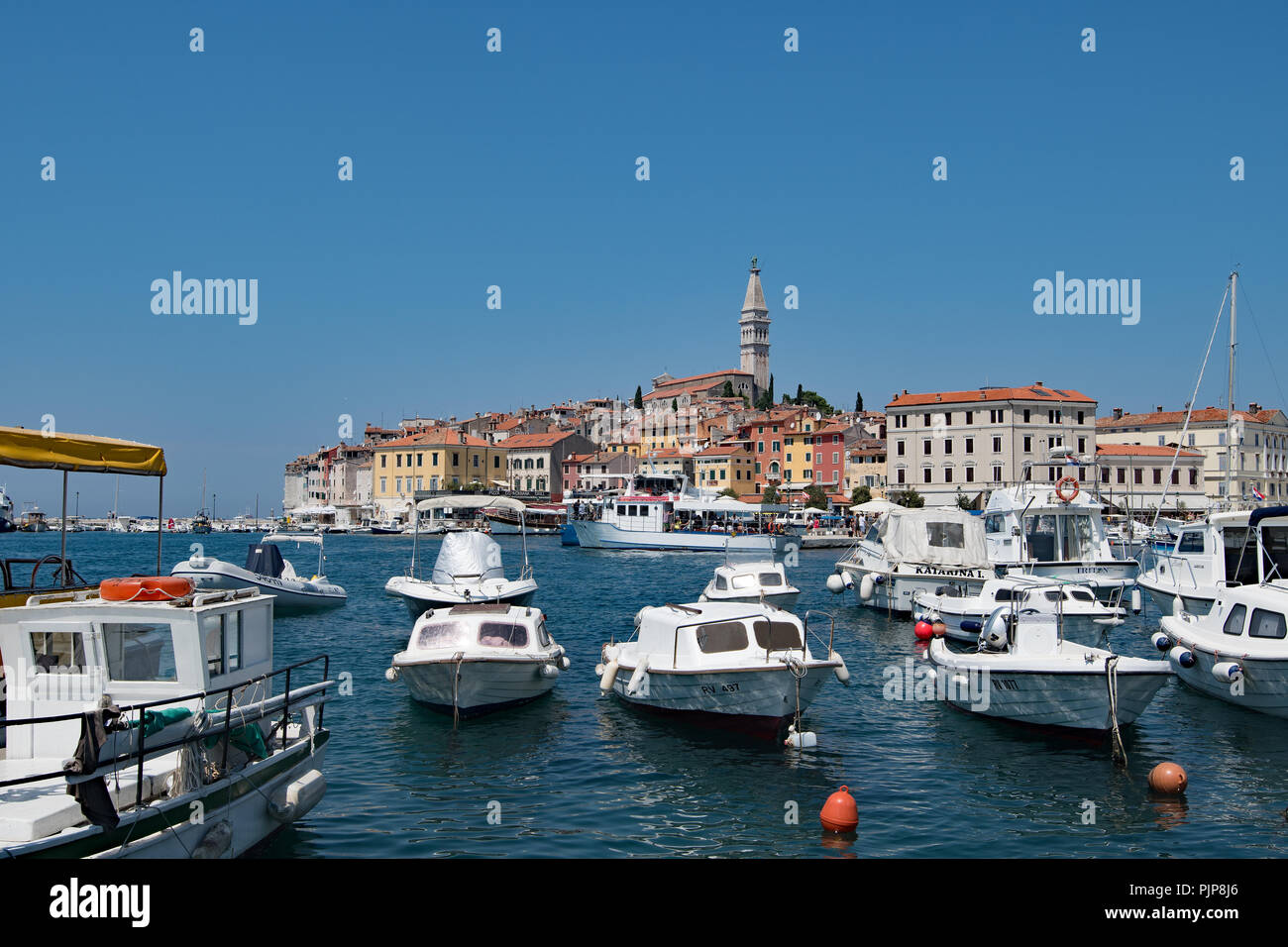 Le village de pêche pittoresque et populaire de Rovinj, en Croatie, l'Europe de l'Est. Banque D'Images