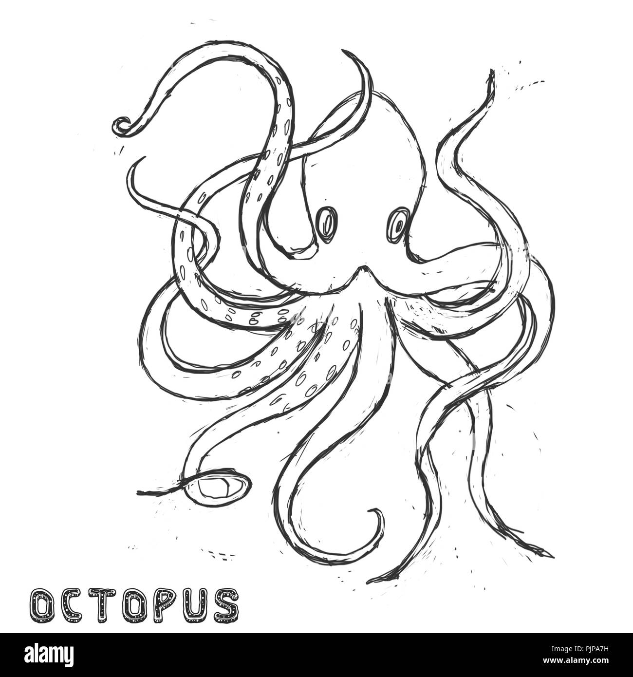 Caractère bête mer animal mignon géométrique dessin illustration océan polaire visage yeux octopus funny sea life couleur blanc et noir profond Antarctique blu Banque D'Images