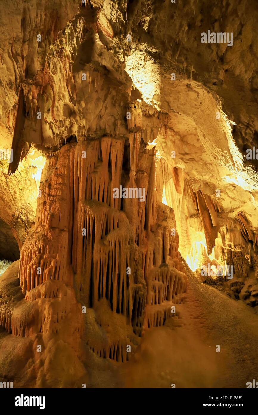 Stalactites et stalagmites ont fusionné en un pilier, grotte karstique, Postojna, Slovénie Banque D'Images