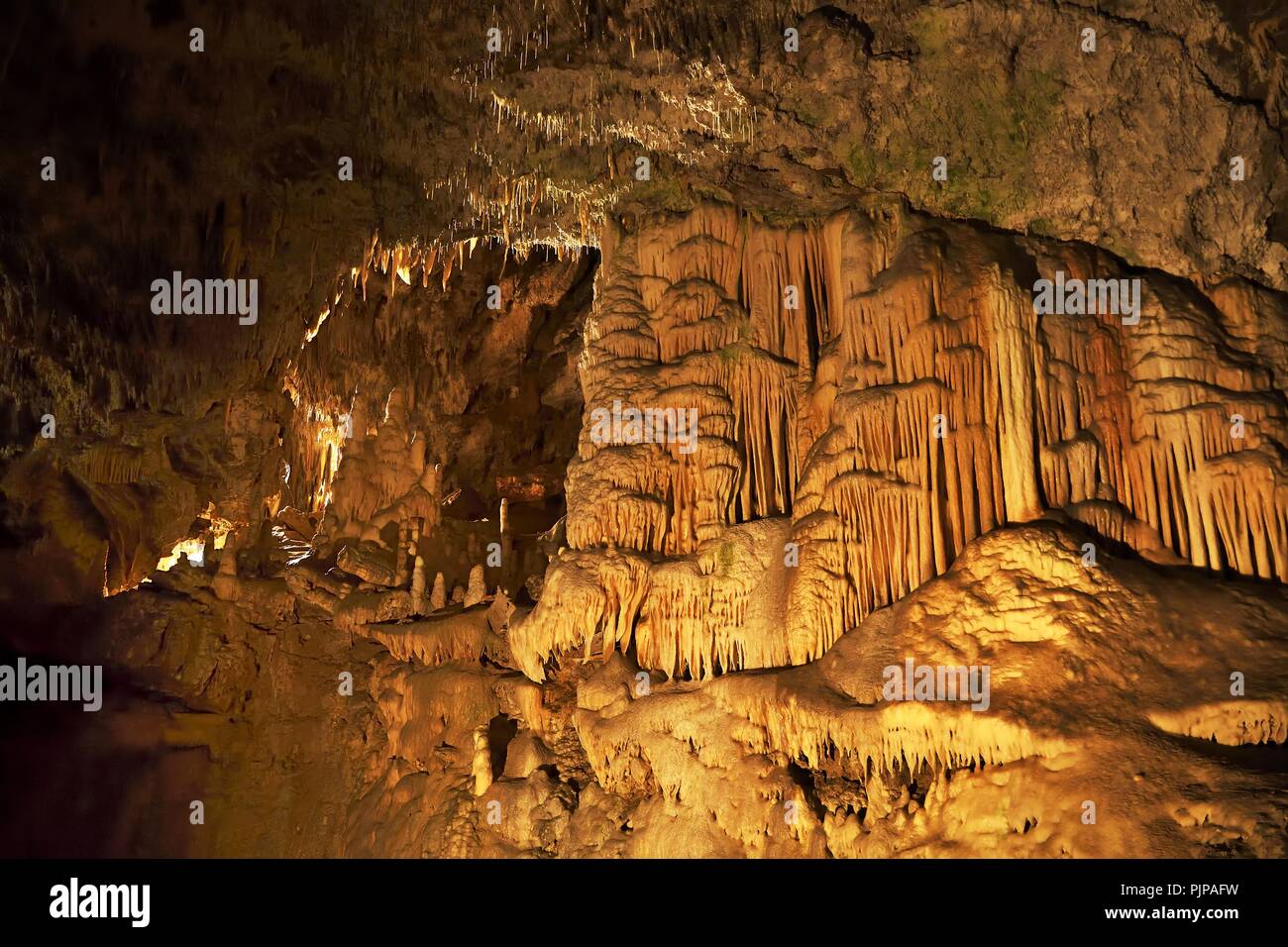 Stalactites et stalagmites, grotte karstique, Postojna, Slovénie Banque D'Images