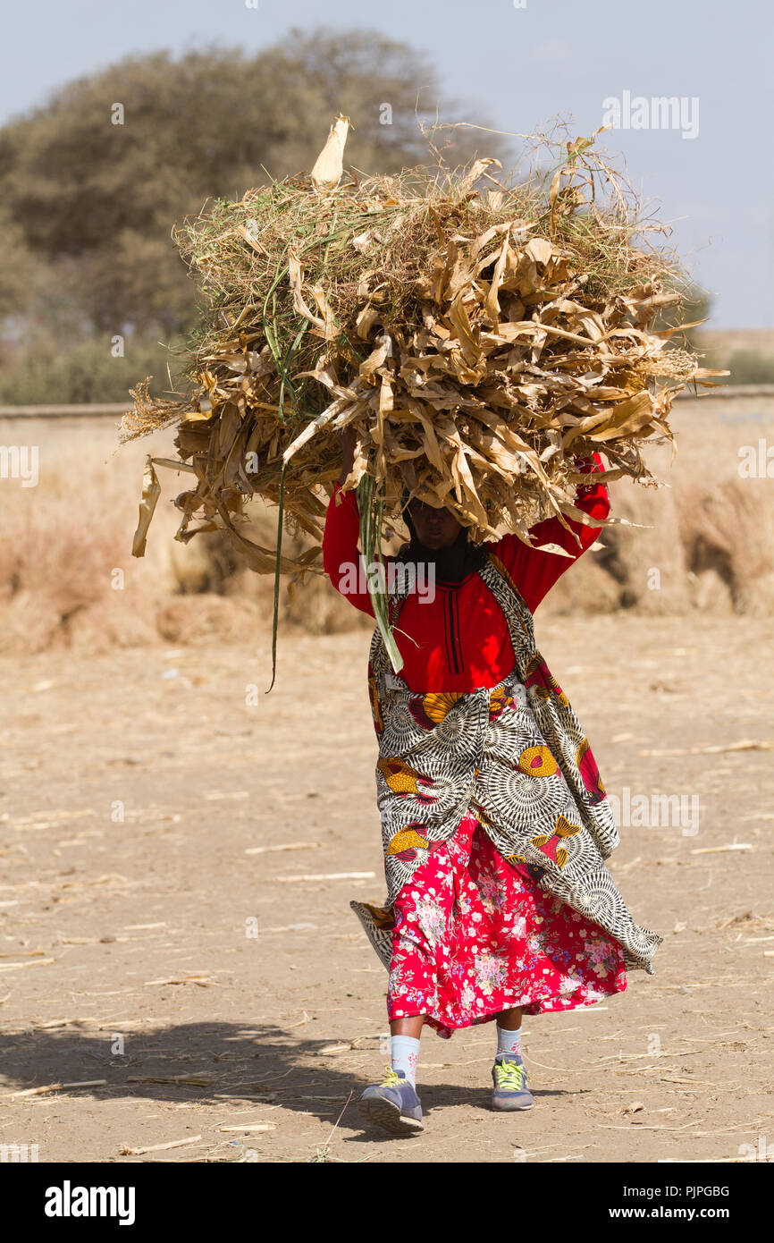 La vie des gens masai près d'Arusha Banque D'Images