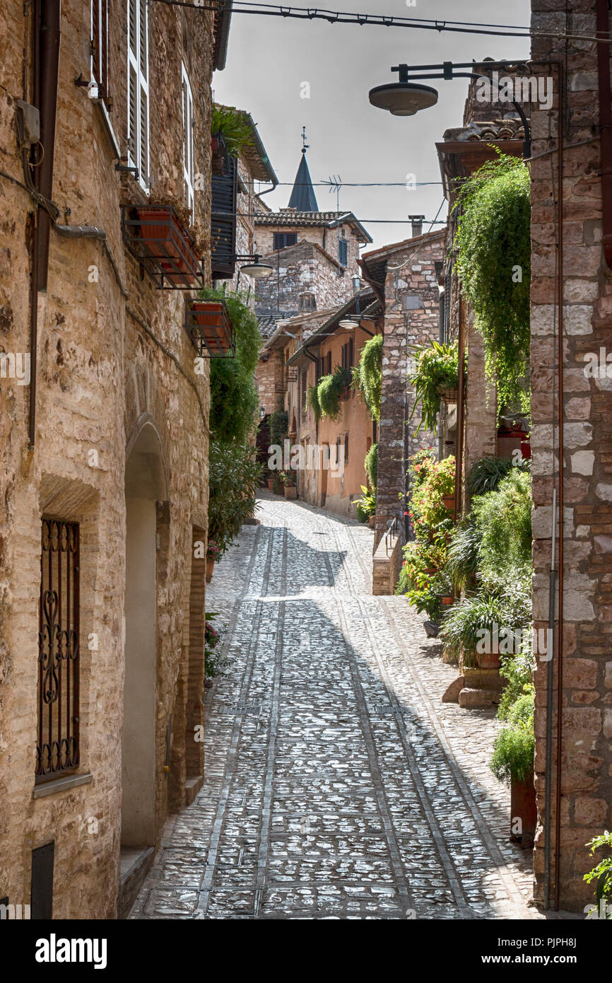 Aperçu du centre historique de la ville de Spello, Ombrie - Italie Banque D'Images